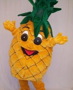 mascota piña.jpg